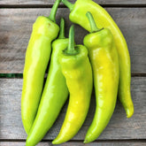 Hectarul - Seminte ardei iute Severus F1, 100 seminte, Hektar